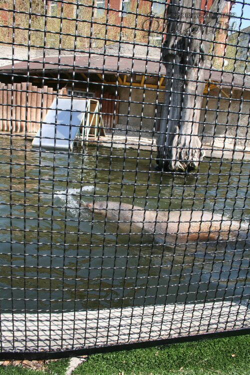 IMG_0733_r